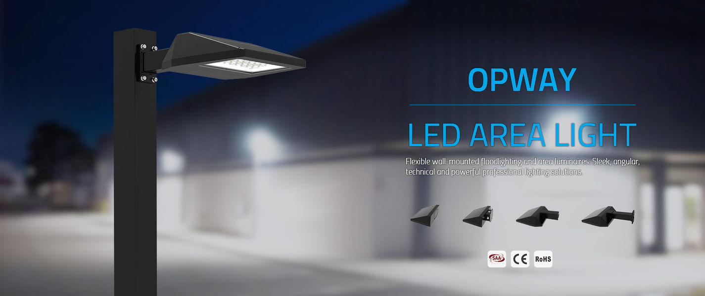 Luce di inondazione all'aperto del LED