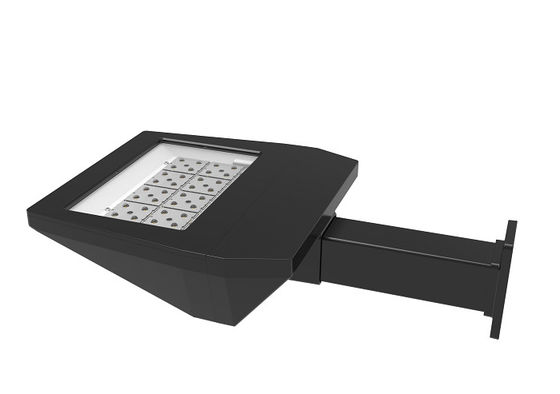30W - 100W Luce di area esterna a LED 140m/W IK09 IP66 per percorso